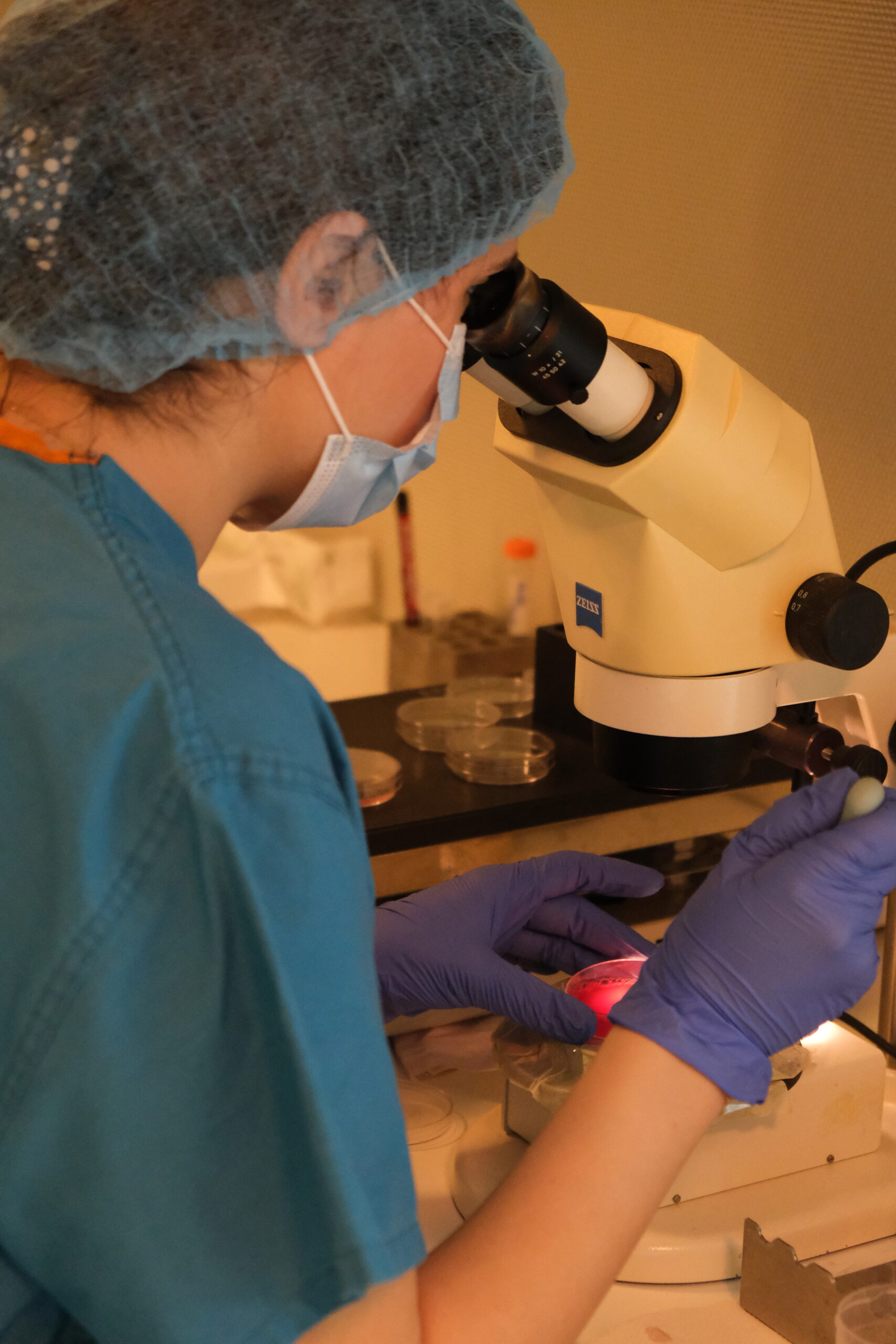 Hospital Fertility Center